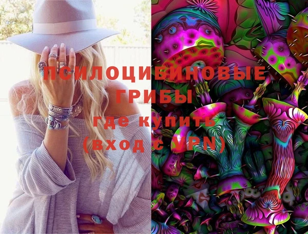 ешки Алексин