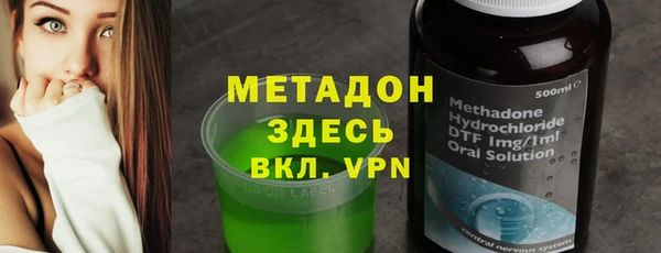 прущие грибы Алзамай