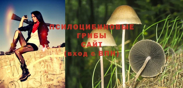 прущие грибы Алзамай