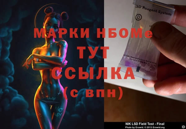 прущие грибы Алзамай