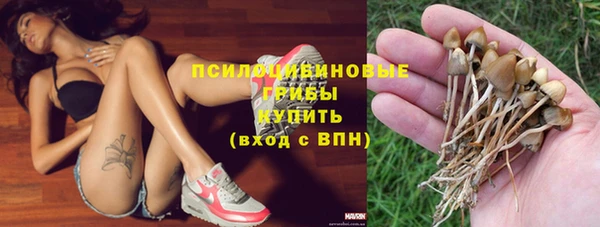 ешки Алексин