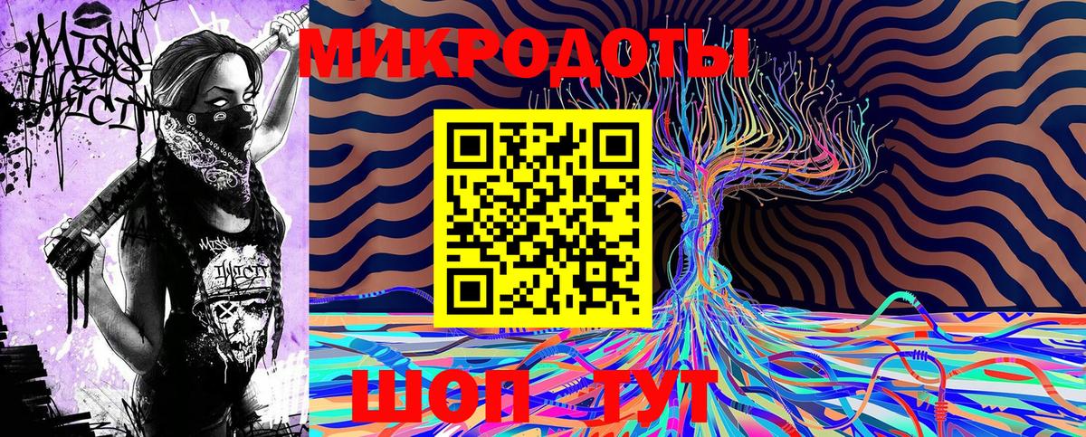 Галлюциногенные грибы Psilocybe Лениногорск