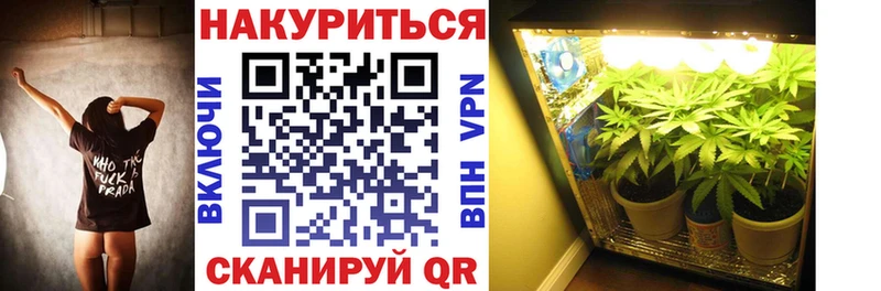 Бошки марихуана ГИДРОПОН кракен маркетплейс Лениногорск